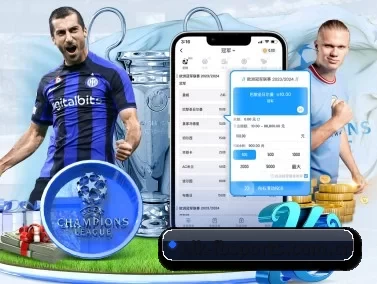 国际化进程 | fbsports
